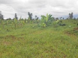 Land Measuring 703 Sqm 703 Meter Square of Land for Sale Uyo Akwa Ibom Vetra  Property