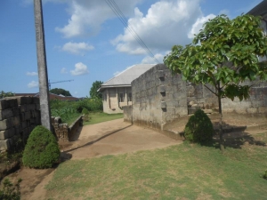 Image 1 Title