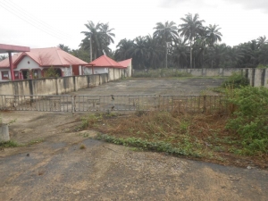 Image 1 Title