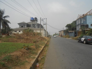 Image 1 Title