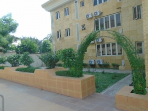 Image 1 Title