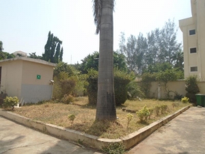 Image 1 Title