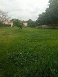 A Land Measuring 1800 Sqm, Fenced Round At Maitama  1,800 Meter Square of Land for Sale Maitama Abuja Vetra  Property
