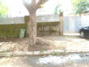Image 1 Title