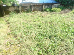 Image 1 Title