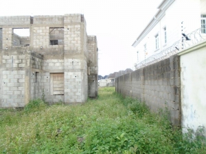 Image 1 Title