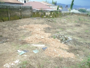Image 1 Title