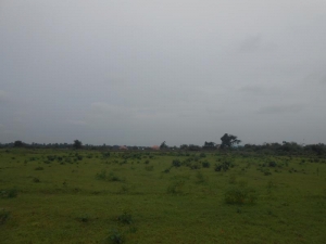 A Land Measuring 23hectare At Karsana West For Sale. Price;900m Purpose; Residential.23 Hactare 23 Hectare of Land for Sale Karsana Abuja Vetra  Property