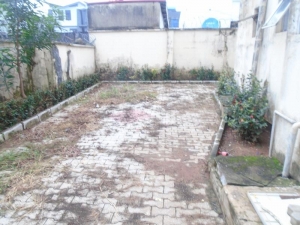 Image 1 Title