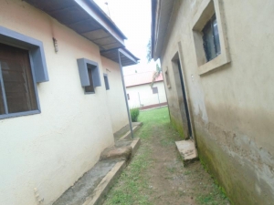 Image 1 Title