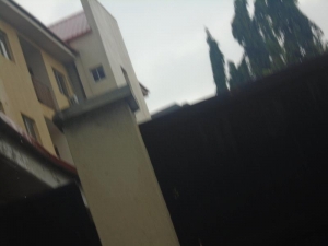 Image 1 Title
