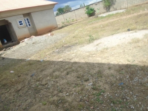 Image 1 Title