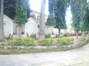 Image 1 Title