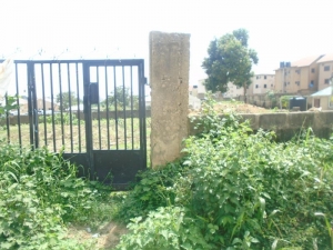 Image 1 Title