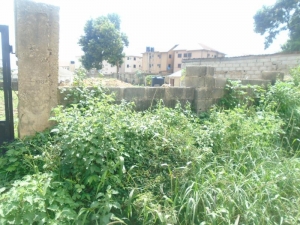Image 1 Title