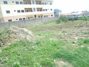 Image 1 Title