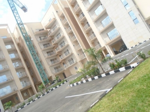 Image 1 Title