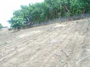 A Land Measuring 2,500sqm Fence Round For Sale, 2,500 Meter Square of Land for Sale Lokogoma Abuja Vetra  Property