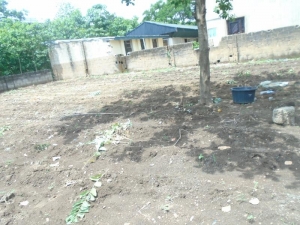Image 1 Title