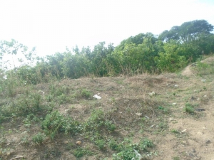 Image 1 Title