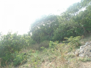 Image 1 Title