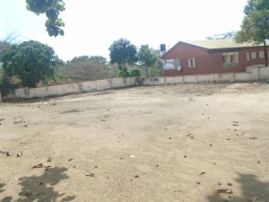 Image 1 Title