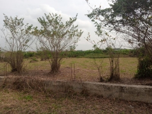 Image 1 Title