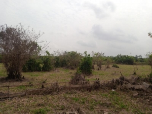 Image 1 Title