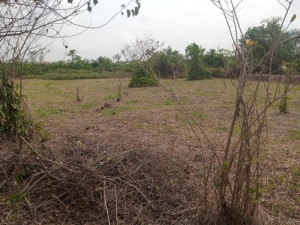 Image 1 Title