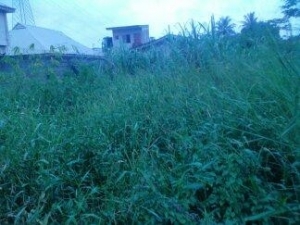 Lovely 3 Plot Of Dry Land At Makogi Magboro Axis In An Estate.  3 Plots of Land for Sale Obafemi Owode Ogun Vetra  Property