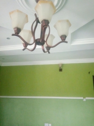 Image 1 Title