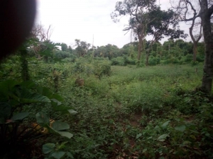 Image 1 Title