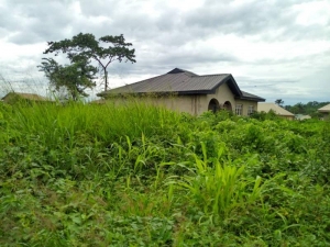 Image 1 Title