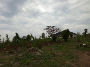 Acres And Plots Of Land Onthe New Lagos-ibadan Railway Line Ologuneru Ibadan  Land for Sale Ibadan Oyo Vetra  Property