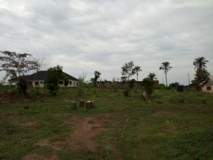 Image 1 Title