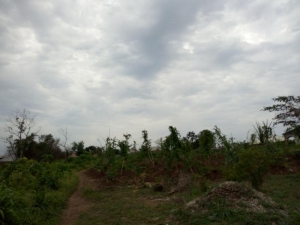 Image 1 Title