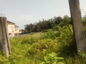 Image 1 Title