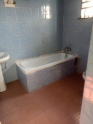 Image 1 Title