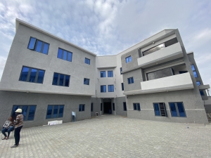 Newly Built Serviced 2 Bedroom Flat 2 bedroom Flat for Rent Lekki Lagos Vetra  Property