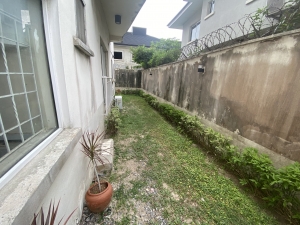 Image 1 Title