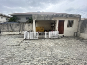 Image 1 Title