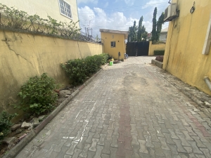 Image 1 Title
