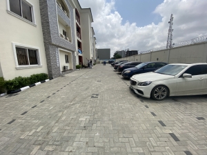 Image 1 Title