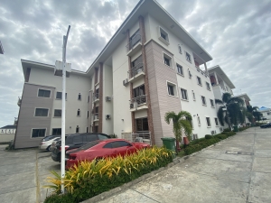 Luxury 2 Bed All Rooms En-suite Penthouse Apartment With A Swimming Pool And Gym 2 bedroom Penthouse for Rent Victoria Island Lagos Vetra  Property