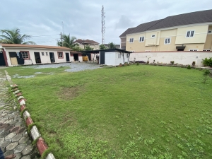 Image 1 Title