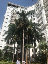 Image 1 Title