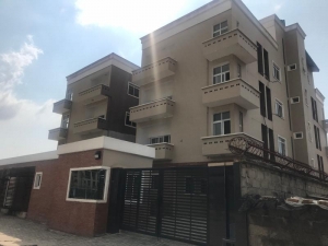 Newly Built Luxury 1 Bedroom Apartment With A Gym Mini Flat for Rent Victoria Island Lagos Vetra  Property