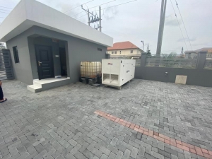 Image 1 Title