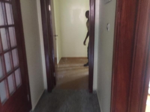 Image 1 Title