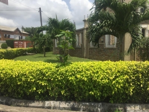 Image 1 Title